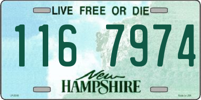 NH license plate 1167974