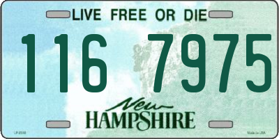 NH license plate 1167975
