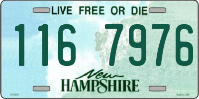 NH license plate 1167976