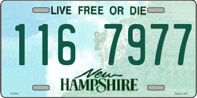 NH license plate 1167977