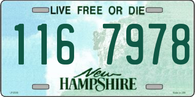 NH license plate 1167978