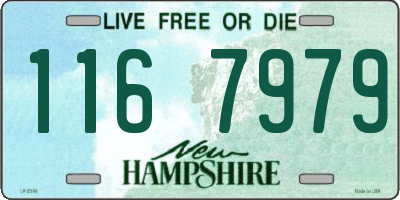 NH license plate 1167979