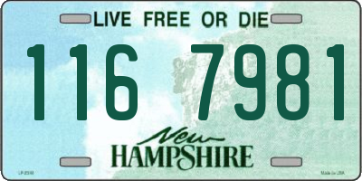 NH license plate 1167981