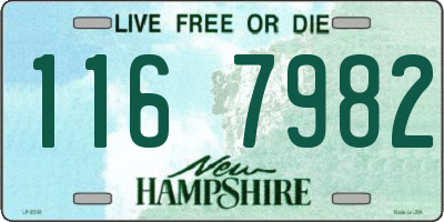 NH license plate 1167982