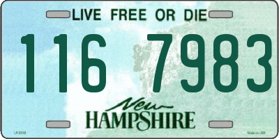 NH license plate 1167983