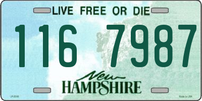 NH license plate 1167987