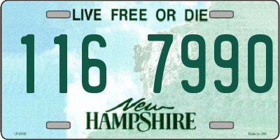 NH license plate 1167990