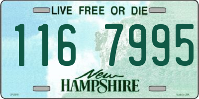 NH license plate 1167995