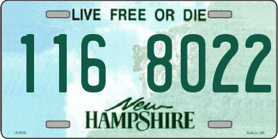 NH license plate 1168022