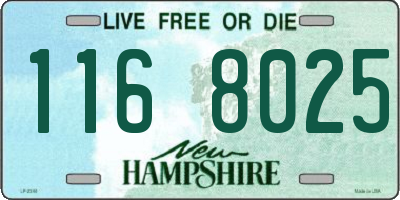 NH license plate 1168025