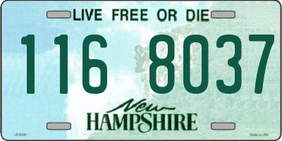 NH license plate 1168037