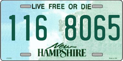 NH license plate 1168065