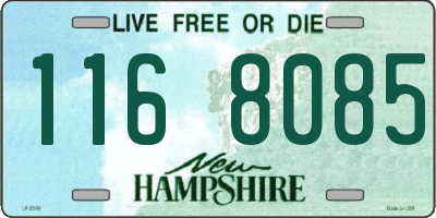 NH license plate 1168085