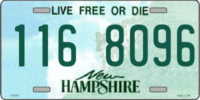 NH license plate 1168096