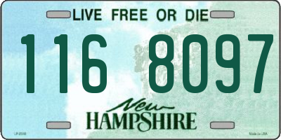 NH license plate 1168097