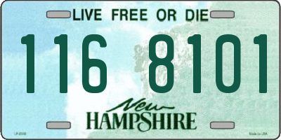 NH license plate 1168101