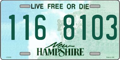 NH license plate 1168103
