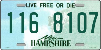 NH license plate 1168107