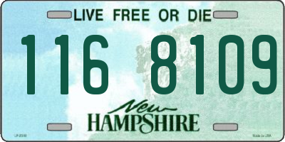 NH license plate 1168109