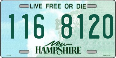 NH license plate 1168120