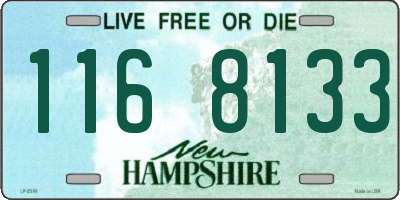 NH license plate 1168133
