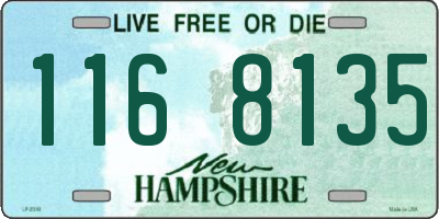 NH license plate 1168135