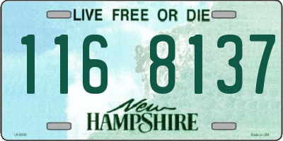 NH license plate 1168137