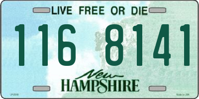 NH license plate 1168141