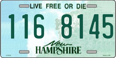 NH license plate 1168145