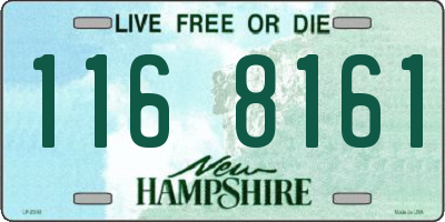 NH license plate 1168161