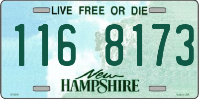 NH license plate 1168173