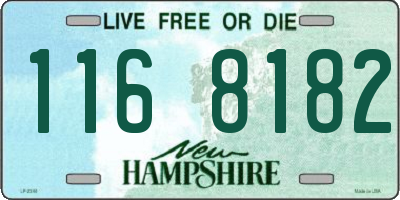 NH license plate 1168182