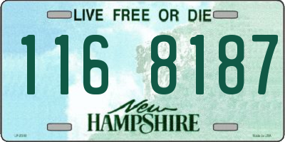 NH license plate 1168187