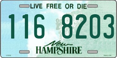 NH license plate 1168203
