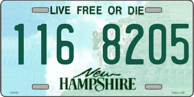 NH license plate 1168205