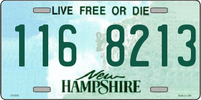 NH license plate 1168213
