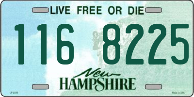 NH license plate 1168225