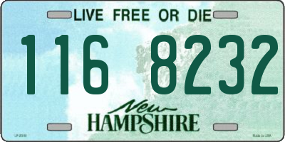 NH license plate 1168232