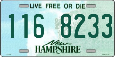 NH license plate 1168233