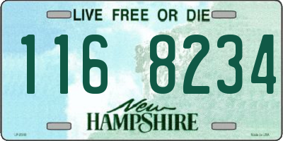 NH license plate 1168234