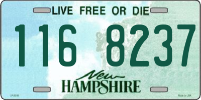 NH license plate 1168237