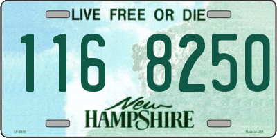 NH license plate 1168250