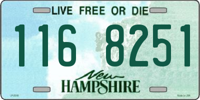 NH license plate 1168251