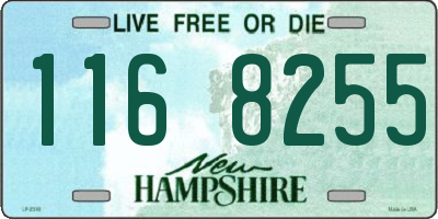 NH license plate 1168255
