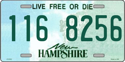 NH license plate 1168256