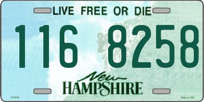 NH license plate 1168258