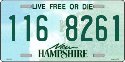 NH license plate 1168261