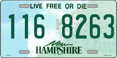 NH license plate 1168263