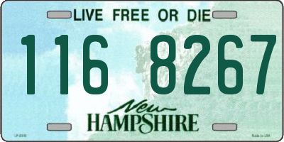 NH license plate 1168267