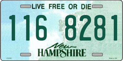 NH license plate 1168281